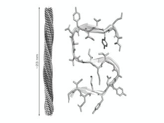 Descubren estructura de proteína que regula la muerte celular y su relación con enfermedades neurodegenerativas