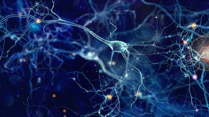 IA para identificar patrones de actividad eléctrica cerebral