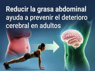 Perder grasa visceral, no solo peso, frena el deterioro cognitivo y la atrofia cerebral años después, según un estudio de Nature Communications