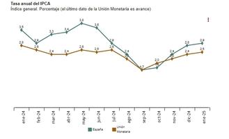 Índice de Precios de Consumo (IPC) en Enero 2025: Un Análisis a Fondo