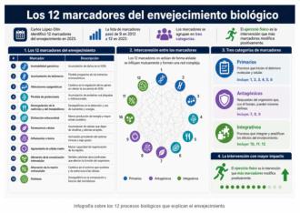 Por qué envejecemos: la ciencia ya tiene 12 respuestas