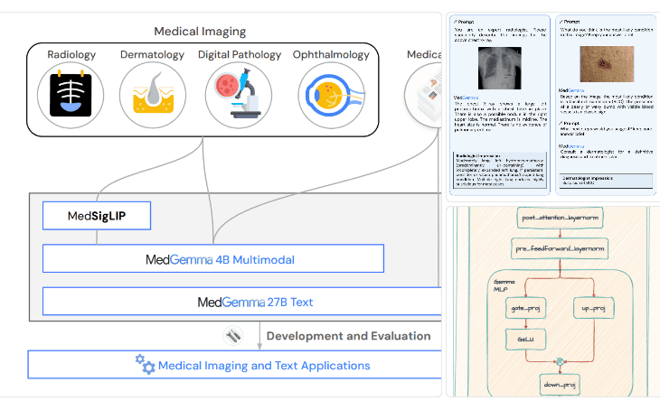 MedGemma: la IA de Google que “lee” radiografías y podría revolucionar el diagnóstico médico