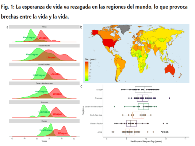 La brecha entre longevidad y salud vuelve a crecer: lo revela un nuevo estudio mundial publicado en Nature