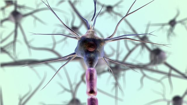 Una proteína cerebral revierte el deterioro cognitivo sin eliminar las placas amiloides