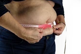 El CSIC identifica una proteína esencial en la regulación de la obesidad