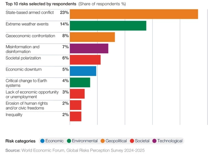 Global Risks Report 2025: Un Análisis Exhaustivo de los Desafíos Económicos y Financieros