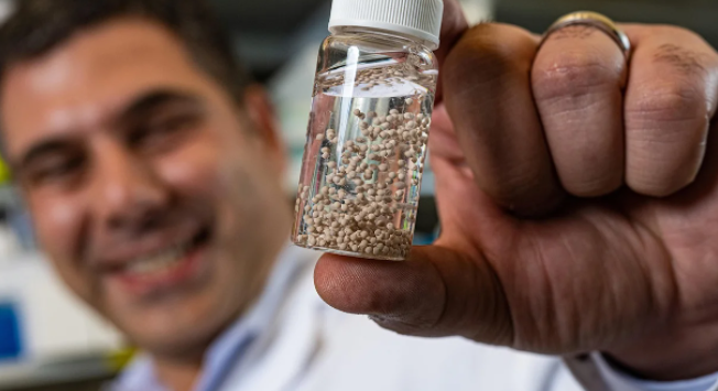 Perlas productoras de fármacos podrían combatir eficazmente tumores en ovarios y colon