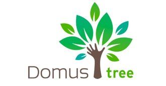 Así es DomusTree, el proyecto de sostenibilidad de Fundación DomusVi