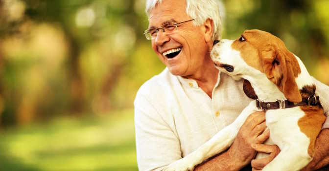 Hay muchos beneficios para personas mayores que tienen mascotas.