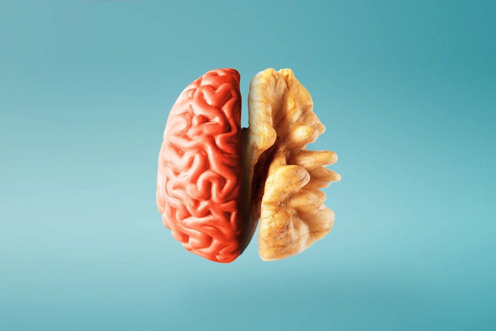 El impacto de los frutos secos en la salud cerebral