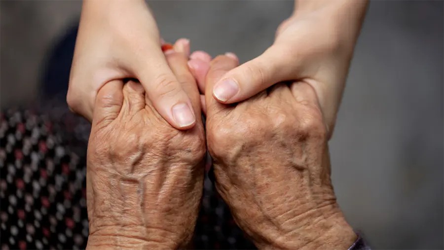 Anemia en ancianos: claves para su prevención y tratamiento