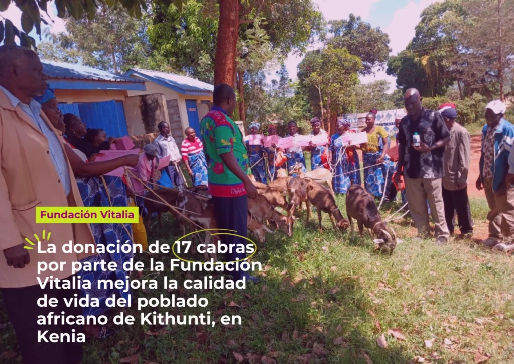 Fundación Vitalia dona cabras para mejorar la vida en Kithunti, Kenia