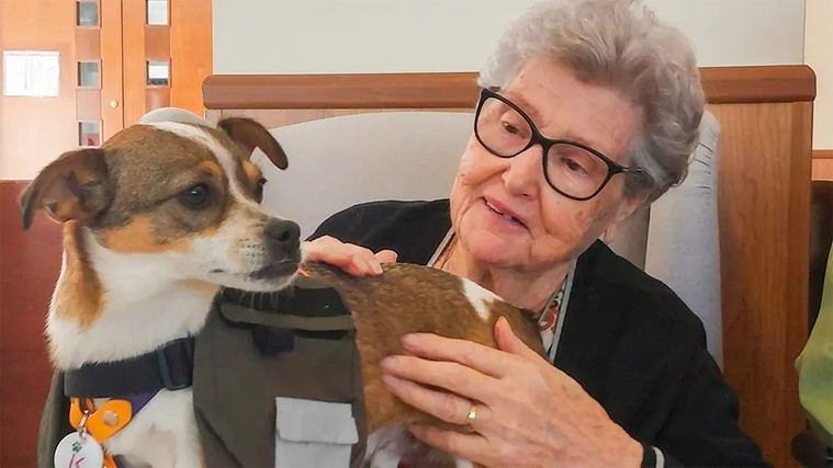 Terapias con animales mejoran la calidad de vida en residencias para mayores