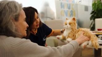 Roboterapia: una nueva forma de cuidar a personas mayores con tecnología emocional