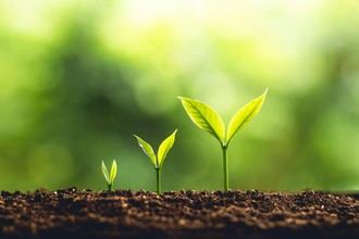 Sanitas lanza la undécima edición de Healthy Cities para promover ciudades más verdes