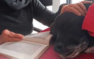 Lectura con perros en la Residencia Soto Fresnos: una nueva forma de conexión emocional