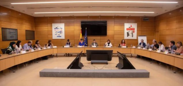 El sector de la dependencia hace un llamamiento al Congreso para que respalde la reforma de la Ley de Dependencia y la convalidación del Real Decreto-ley 1