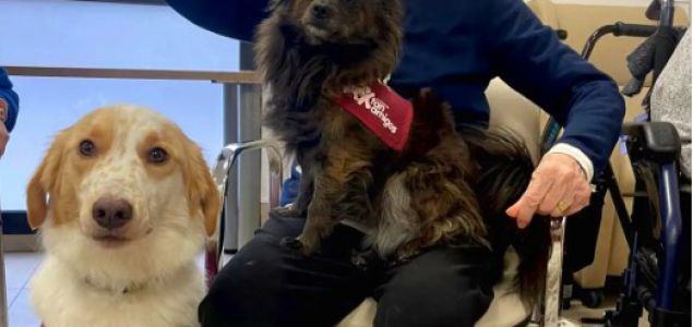 Beau es un mestizo de border collie adoptado en 2023, tras haber sido abandonado. Hoy, con cinco años, es el protagonista de las sesiones de terapia asisti
