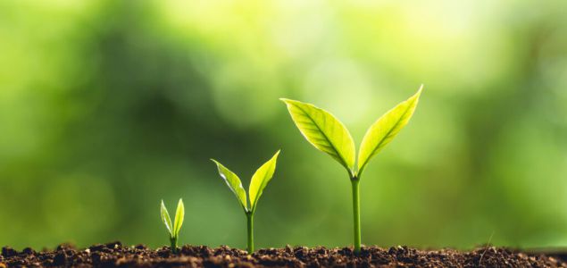 Sanitas ha lanzado la undécima edición de su programa Healthy Cities, que promueve hábitos de vida saludables y la creación de espacios verdes en entornos 