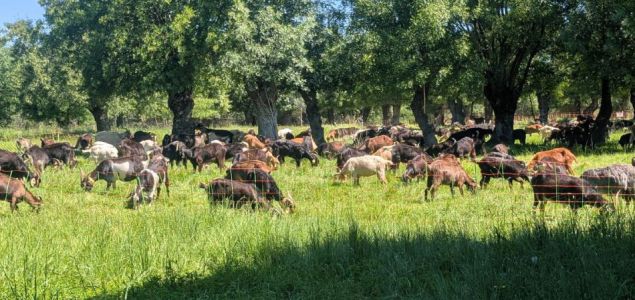 Descubre la Residencia Soto Fresnos, un lugar ideal para disfrutar de la naturaleza y la tranquilidad. Este espacio ofrece un ambiente sereno y acogedor, p