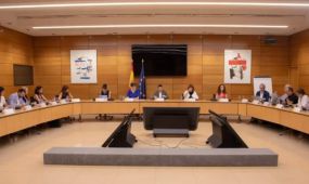 El sector de la dependencia hace un llamamiento al Congreso para que respalde la reforma de la Ley de Dependencia y la convalidación del Real Decreto-ley 1