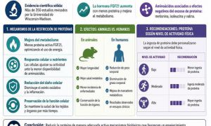 Comer menos proteína podría frenar el envejecimiento, según 350 estudios