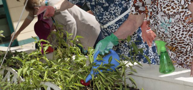 Las residencias Bouco celebran el Día de la Familia con diversas actividades intergeneracionales en sus casi sesenta centros en España. Este evento, promov
