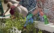 Residencias Bouco organizan actividades familiares para celebrar el Día de la Familia