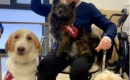 Beau, el perro que combate la soledad en la residencia Ballesol Reus