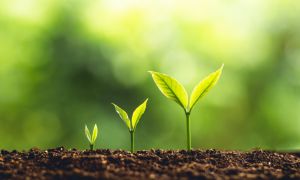 Sanitas ha lanzado la undécima edición de su programa Healthy Cities, que promueve hábitos de vida saludables y la creación de espacios verdes en entornos 