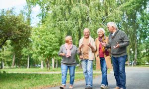 Descubre 10 actividades para personas mayores que promueven un ocio saludable y enriquecedor. Este artículo destaca la importancia de mantenerse activo tra