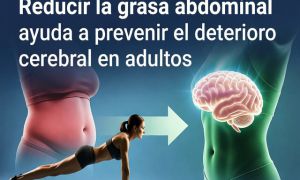 Un estudio publicado en Nature Communications por investigadores de la Universidad Ben-Gurión del Negev, la Universidad de Leipzig y la Escuela de Salud Pú