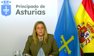 La consejera de Derechos Sociales y Bienestar de Asturias, Nerea Monroy, ha subrayado la importancia de aprobar los presupuestos de 2027 para fortalecer el