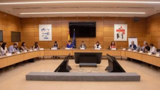 El sector de la dependencia hace un llamamiento al Congreso para que respalde la reforma de la Ley de Dependencia y la convalidación del Real Decreto-ley 1