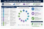 Por qué envejecemos: la ciencia ya tiene 12 respuestas