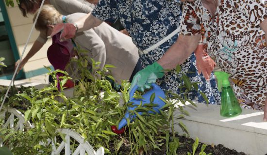 Las residencias Bouco celebran el Día de la Familia con diversas actividades intergeneracionales en sus casi sesenta centros en España. Este evento, promov