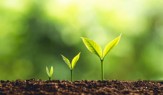 Sanitas ha lanzado la undécima edición de su programa Healthy Cities, que promueve hábitos de vida saludables y la creación de espacios verdes en entornos 