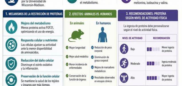 Las estanterías de los supermercados están llenas de productos enriquecidos con proteínas: cereales, café, agua. La industria alimentaria y las recomendaci
