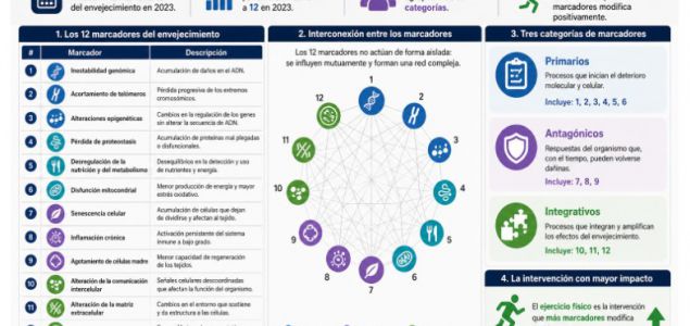 Durante siglos, el envejecimiento se consideró inevitable e incomprensible. Hoy la ciencia tiene una respuesta mucho más precisa: sabemos qué ocurre dentro