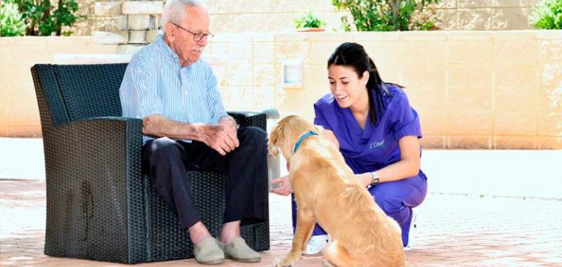 L' Onada Serveis desarrolla terapia con animales como perros 